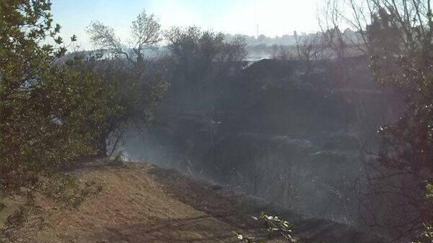 Zona afectada por el incendio en Godelleta