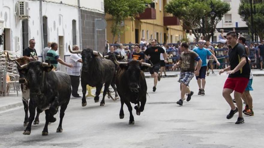 actividades variadas Entre otras actividades, las fiestas de Sant Pere del Grau de Castelló celebraron ayer diversos festejos taurinos con suelta de vacas y el embolado de dos toros cerriles. Al mediodía también hubo un popular concurso de all i oli f nacho brotons/acf