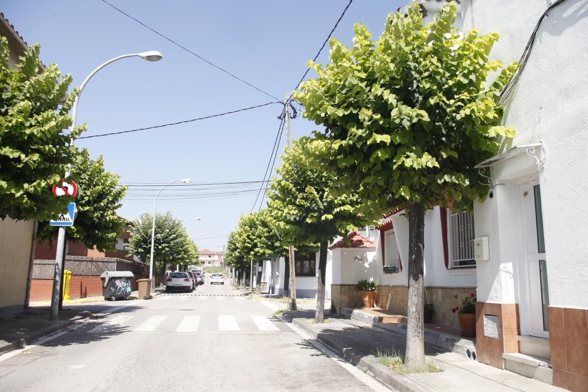 Parets inicia la campanya de poda en verd dels arbres del municipi Parets inicia la campanya de poda en verd dels arbres del municipi