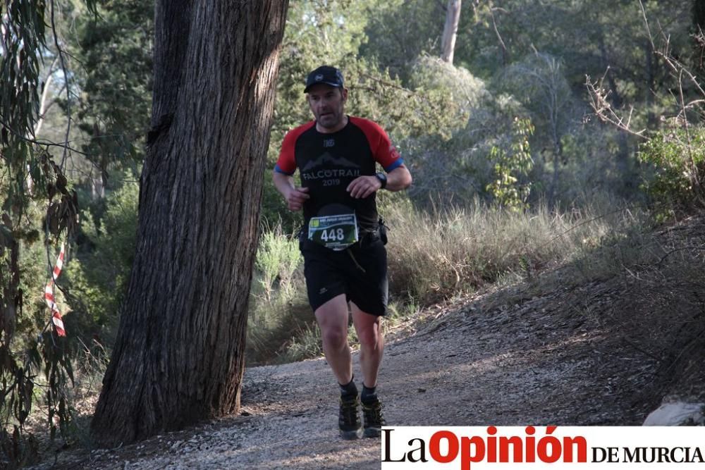 San Jorge Dragon en La Alcayna