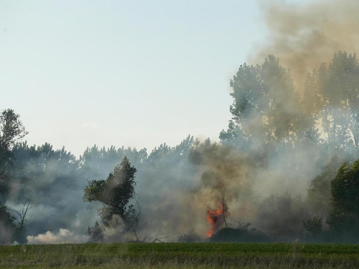 GALERÍA | Incendio en el "Plantío viejo" de Villaralbo