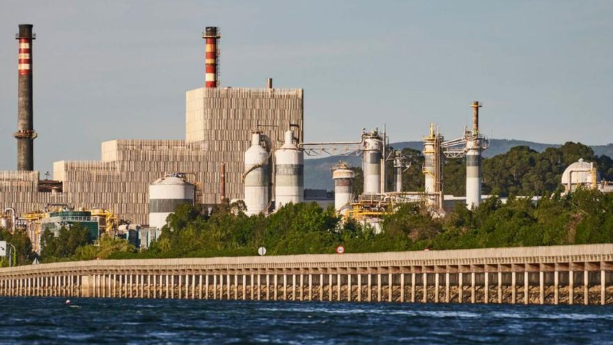 Planta de Ence a orillas de la ría en Lourizán.