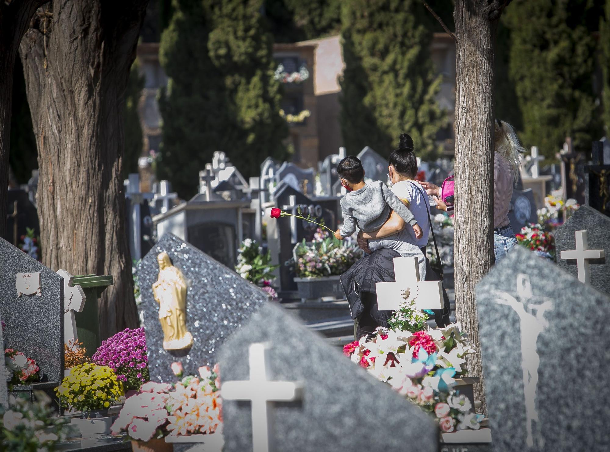 Día de Todos los Santos bajo mínimos de afluencia en el cementerio de Alicante