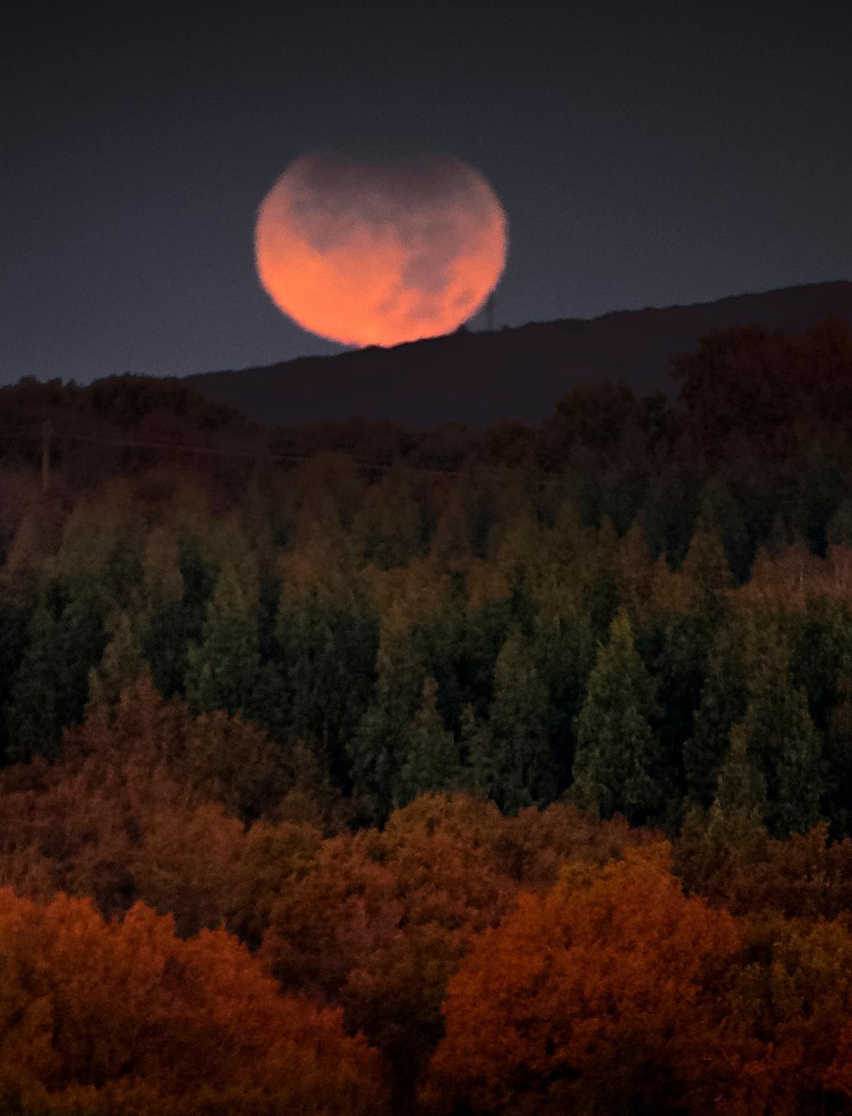 Así ha sido el eclipse parcial de Luna.