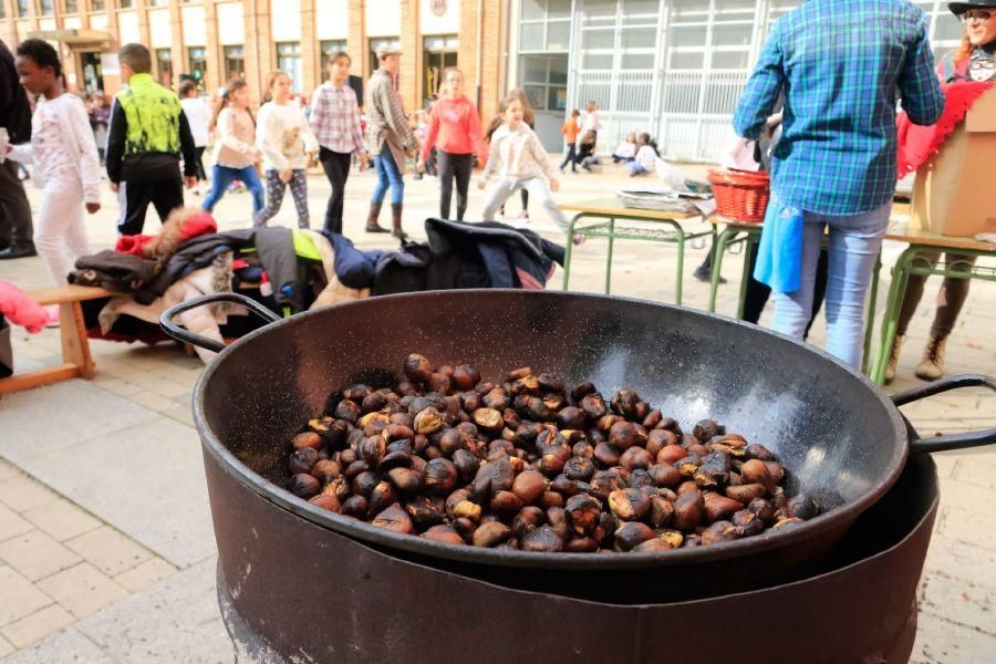 El magosto llega al colegio Arias Gonzalo