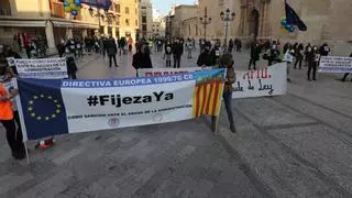 Crece la presión sindical en Elche para estabilizar a los interinos al margen de los fallos y los recursos