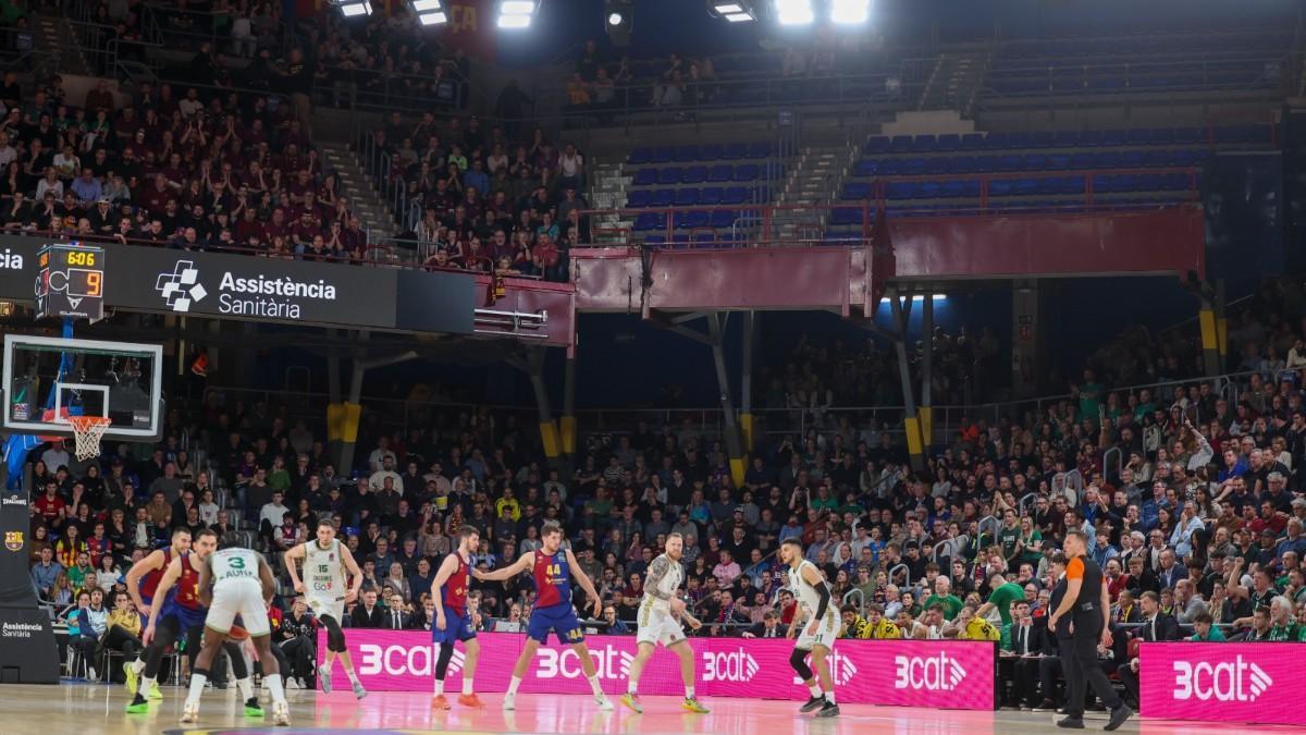 Los Dracs dejaron vacío el Palau