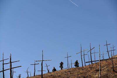 Les mirades més artístiques al Bosc de les creus