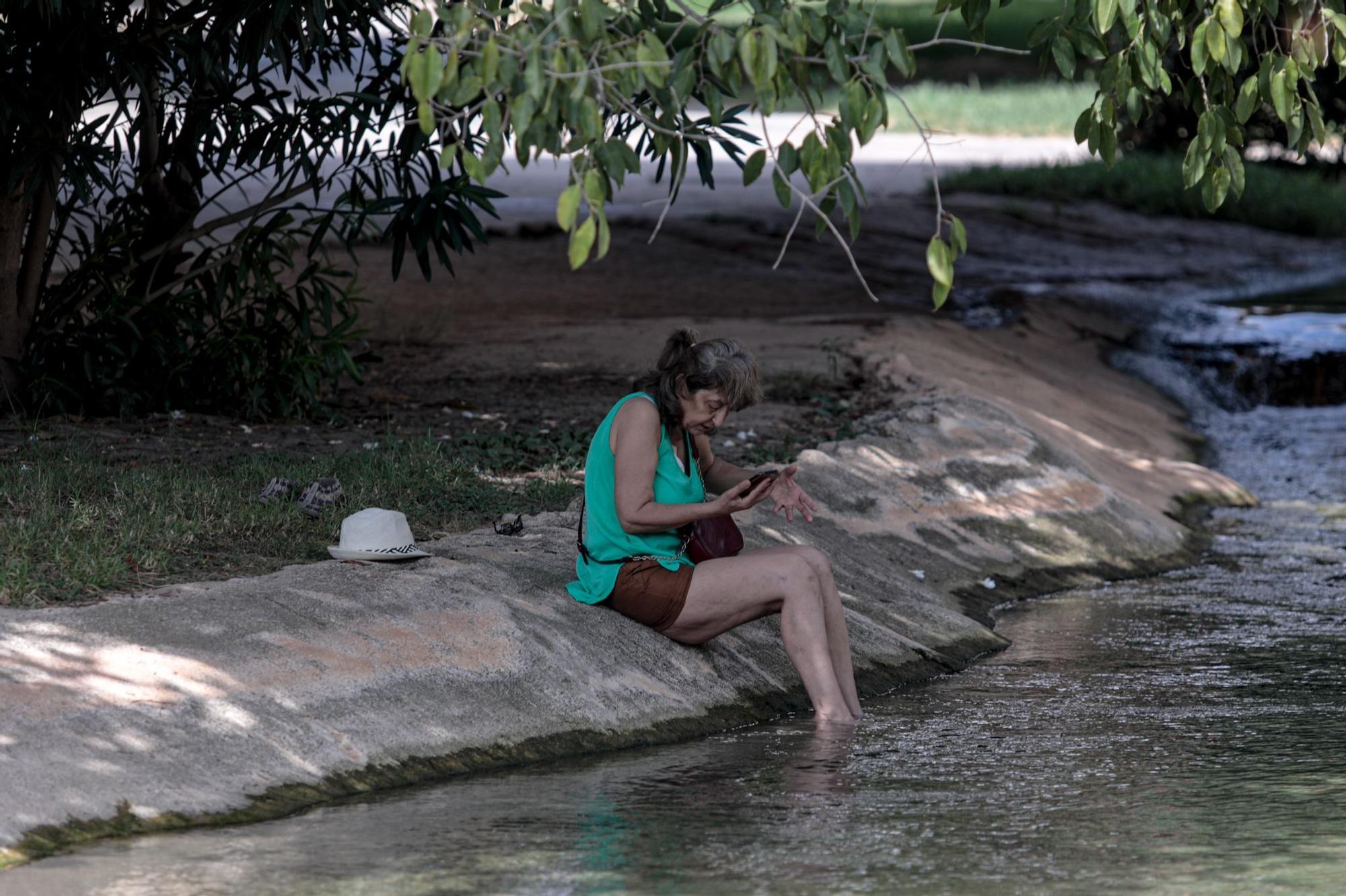 La ola de calor sigue con máximas de 44 ºC