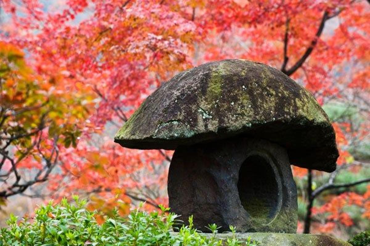 Templo Kiyomizu-dera en Kyoto.