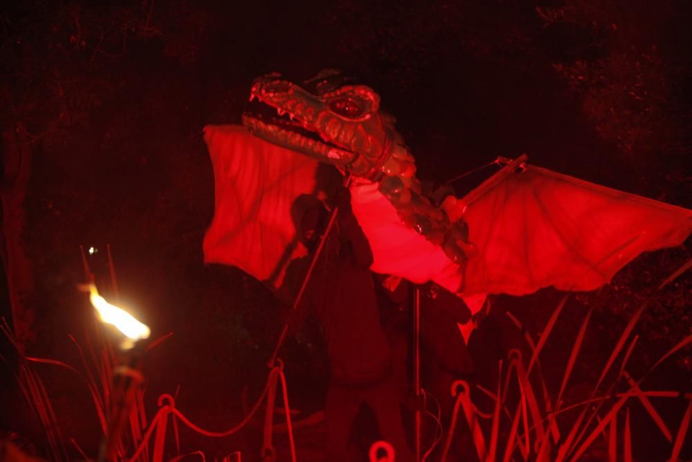 Noches mágicas en el Botánico de Gijón