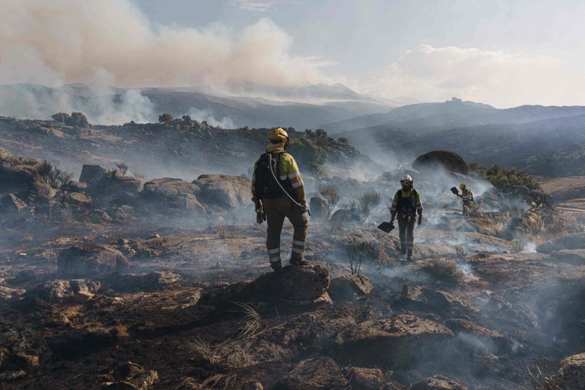 Incendio de Ávila: podría ser el cuarto más extenso de España desde 1961