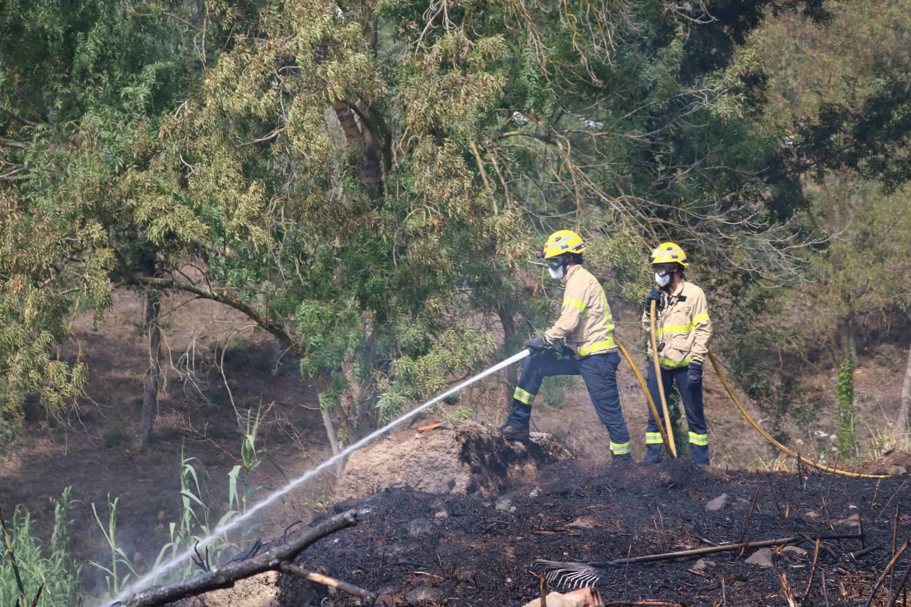 Petit incendi en una àrea boscosa de Maçanet de la Selva