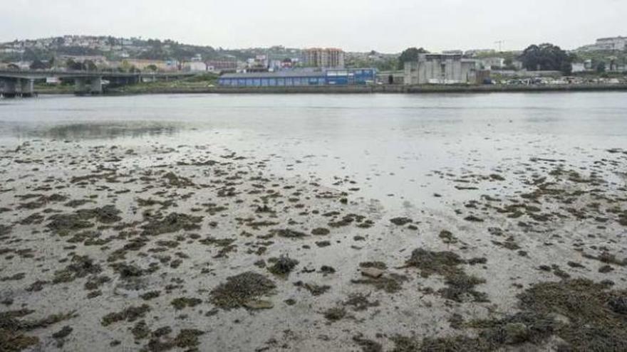 La ría de O Burgo, con el asentamiento chabolista de A Pasaxe al fondo.