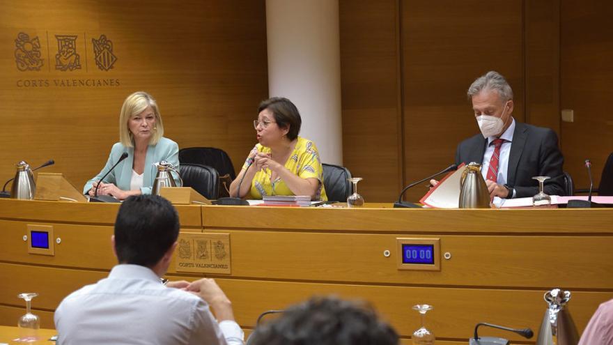 Un momento de la comparecencia de Bravo en las Corts