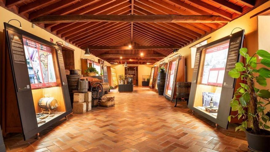 Tenerife Launches First Rural Products Fair to Boost Local Agriculture