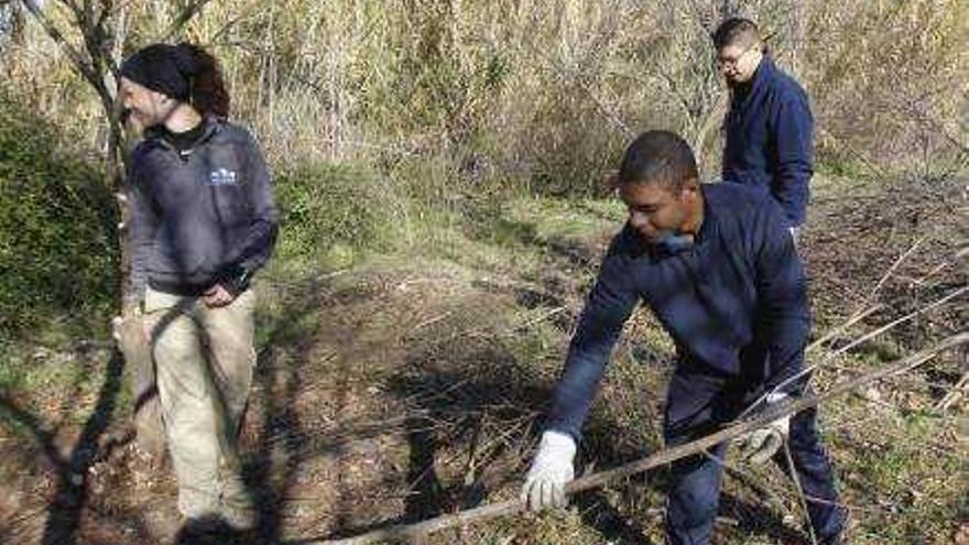 Fondos europeos permiten la limpieza del entorno de los «ullals» del río Verde