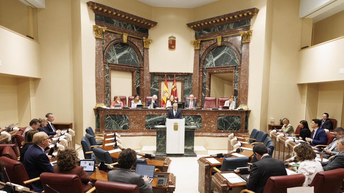 En directo | La trama de las prótesis, Crisol 3 y los retrasos en servicios públicos llegan al Pleno