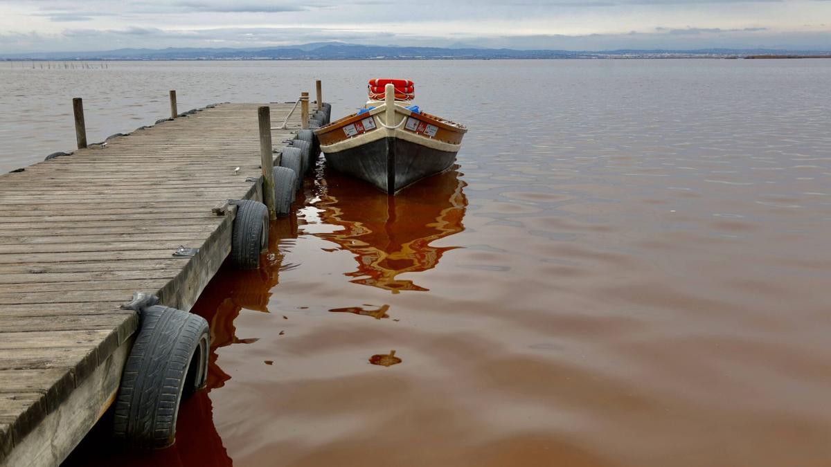 Aigua de color rogenc en l’Albufera