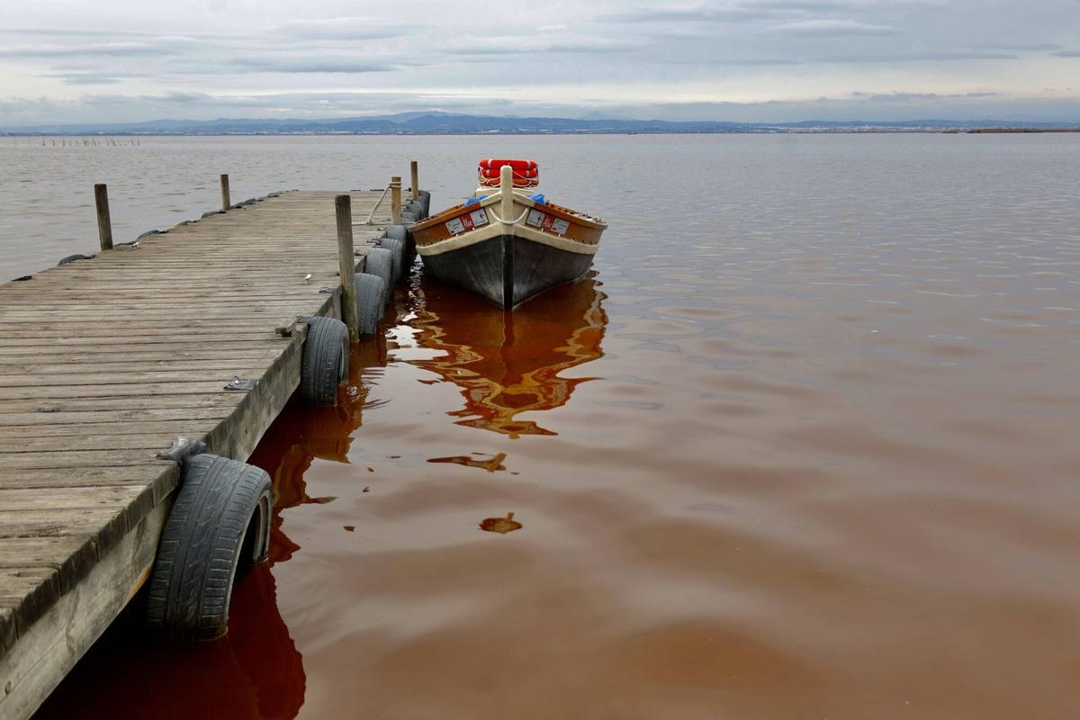 Valencia. Estanque humedal parque natural de l?Albufera . Agua con color rojo aunque las bajas temperaturas ya llegaron. VLC. PARQUE NATURAL DE L'ALBUFERA