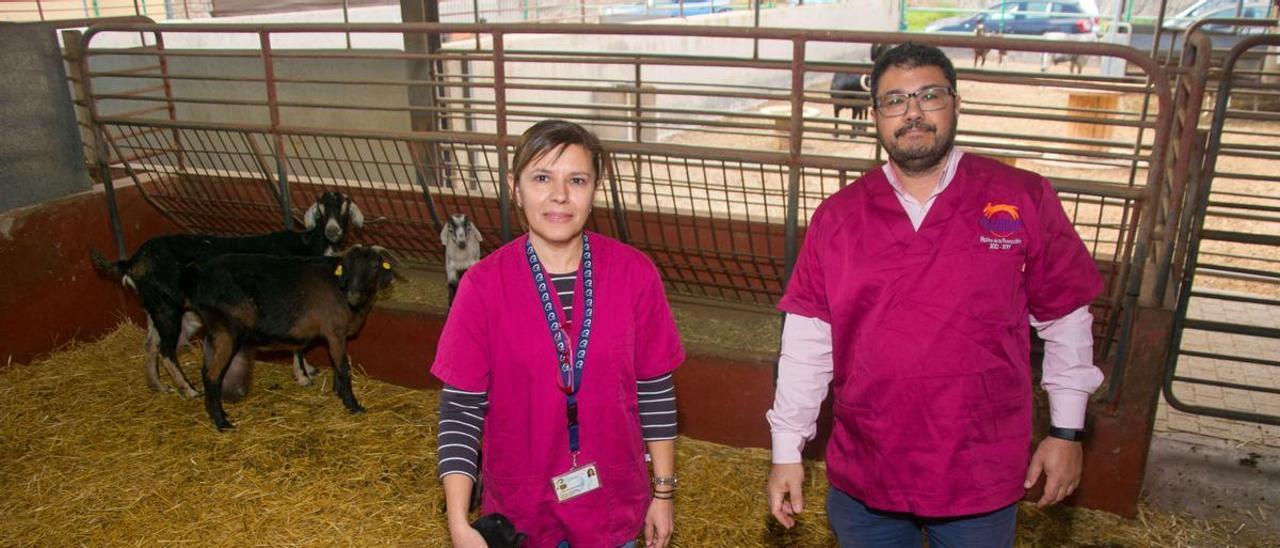 Noemí Castro junto con Anastasio Argüello en la sede de la Facultad de Veterinaria de la ULPGC, en Bañaderos.