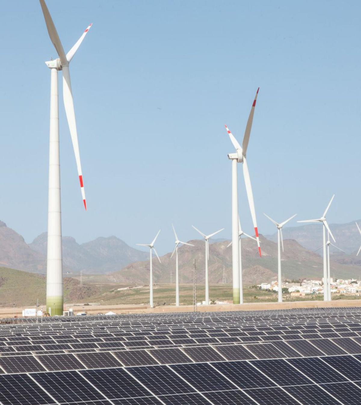 El debat dels fons verds