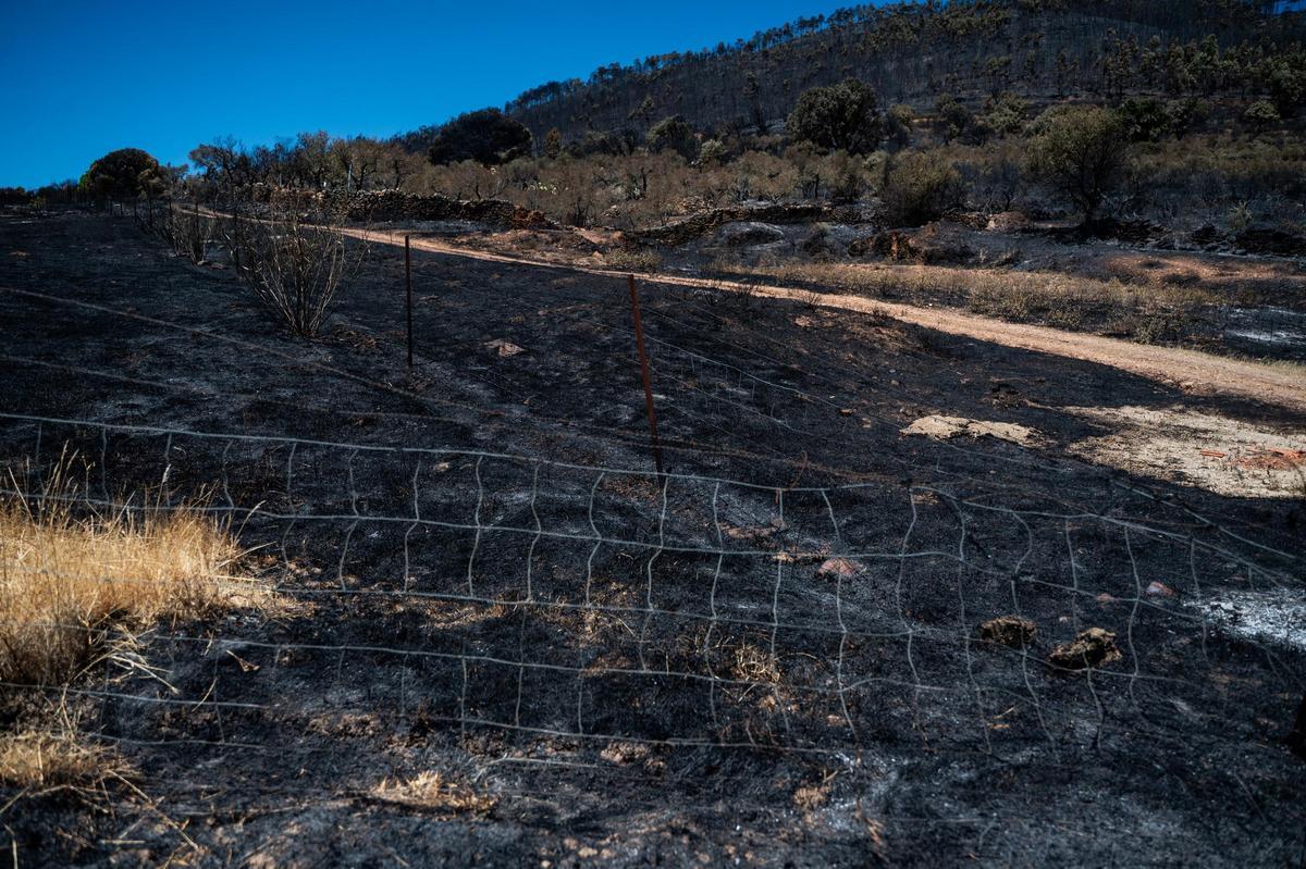 Fotogalería | Casas de Millán: un día después del incendio Fotogalería | Casas de Millán: un día después del incendio