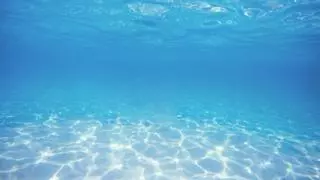 Los científicos alucinan con el último descubrimiento de la NASA: lo nunca visto en el fondo marino