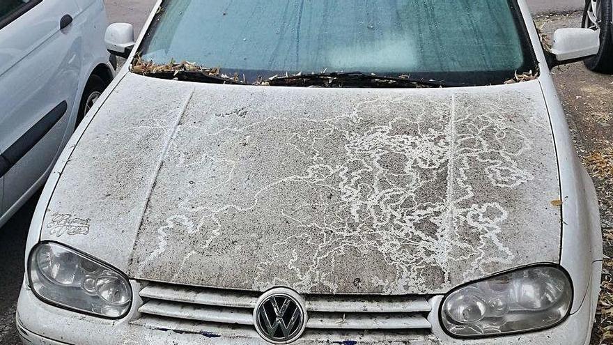 Brossa acumulada a la carrosseria o als vidres dels cotxes, proves evidents que es tracta de cotxes abandonats a Pedret.