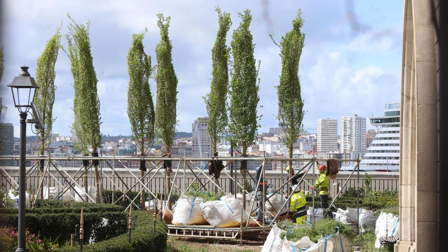 El jardín de San Carlos de A Coruña reabrirá en primavera con nuevos olmos