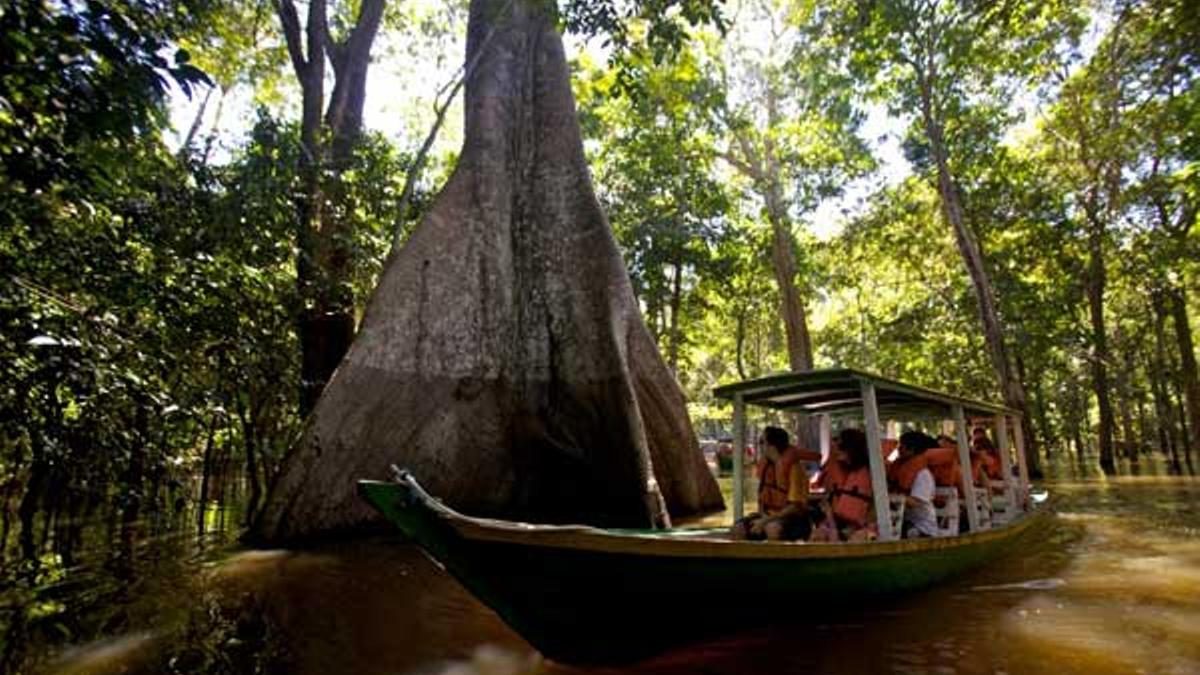 Un hotel ecológico en el Amazonas