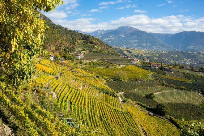 Parque nacional del Cilento y Valle de Diano