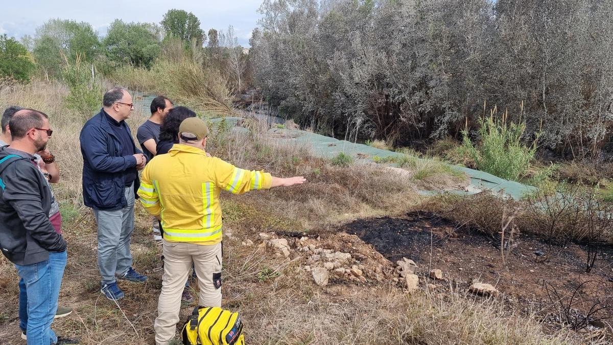 Incendio en el Túria a su paso por Riba-roja.