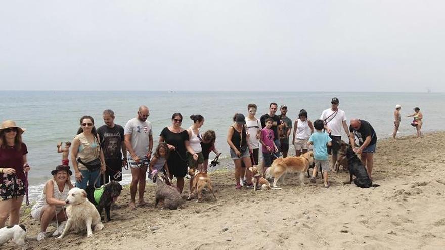 Varios vecinos posan con sus mascotas en la playa canina de El Pinillo, en Marbella.