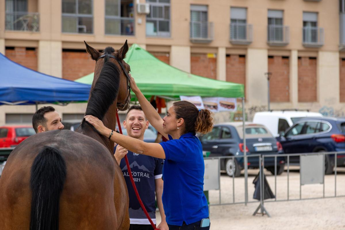 La veterinaria Carla Aguirre realizando el control veterinario