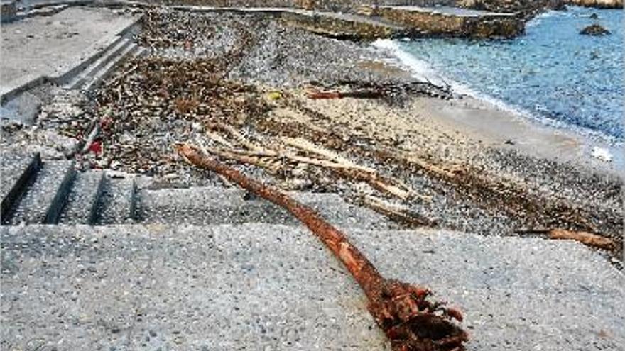 La platja del Port d&#039;en Perris, al centre històric, de l&#039;Escala amb les restes encara per retirar.