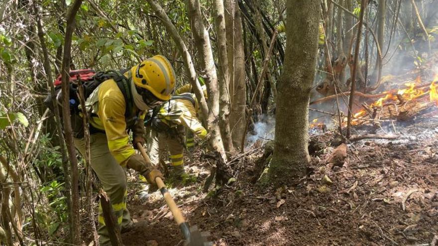 Operarios de los EIRIF durante la extinción de un incendio. | | E.D.