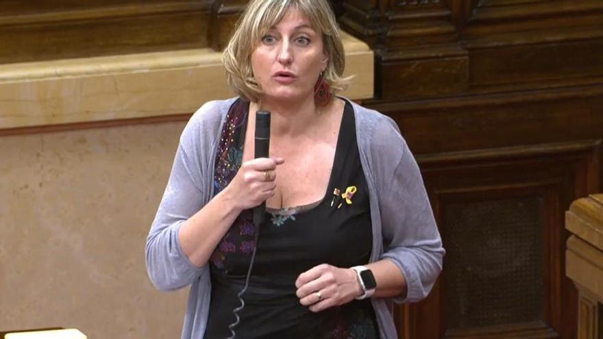 La consellera de Salut, Alba Vergés, al Parlament la setmana passada