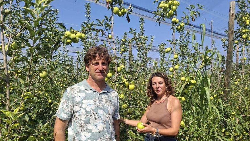 Biobosch Organics recull els fruits de la seva aposta per la poma ecològica
