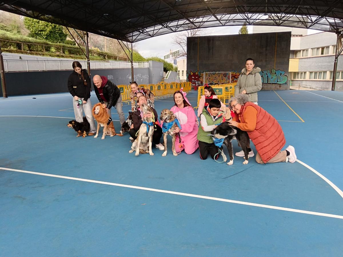 El desfile de mascotas de Grado, en imágenes