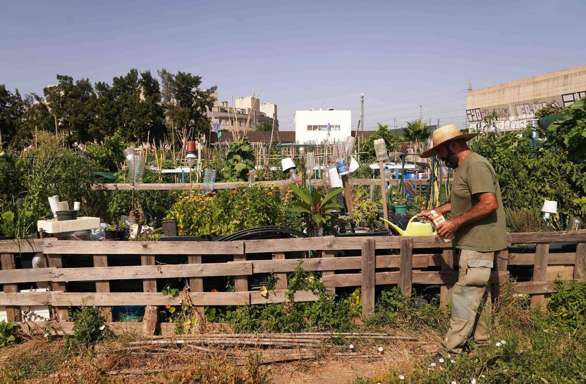Décimo aniversario del huerto urbano más grande de la capital malagueña.