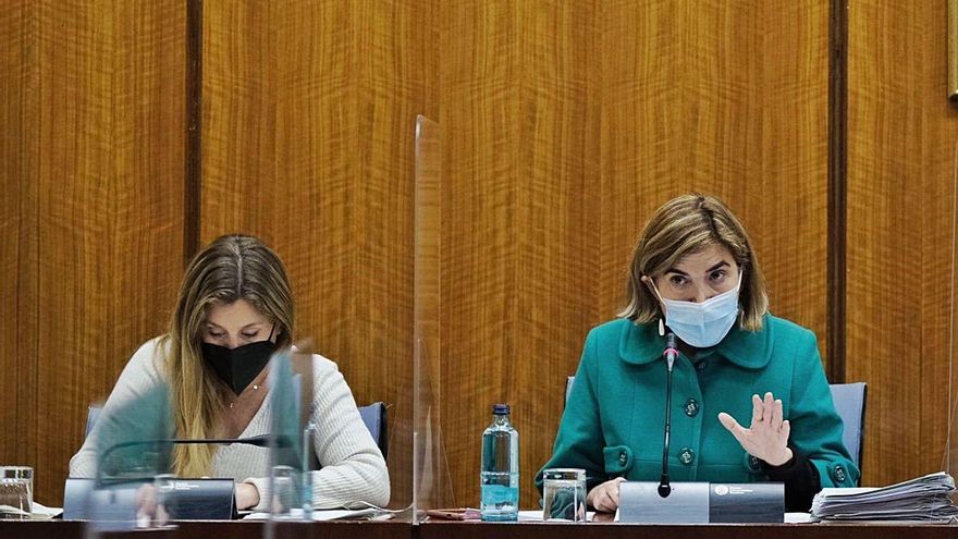 La consejera de Empleo, Rocío Blanco, ayer, en comisión parlamentaria. | E.P.