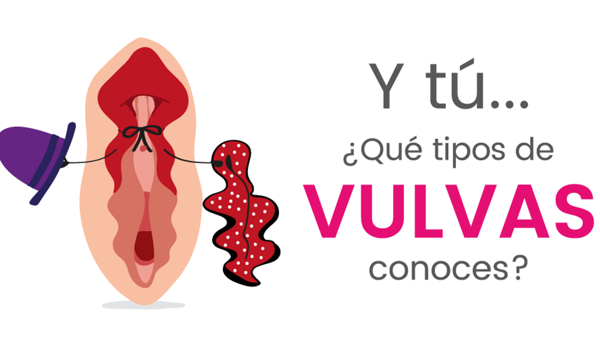 Las vulvas son todas iguales? ¡Todo lo contrario!