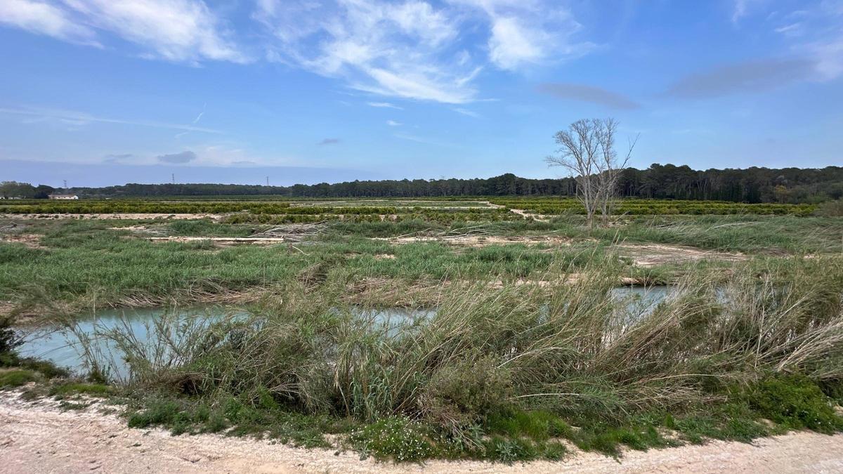 Río Turia con la Vallesa de fondo donde el Consell plantea la creación de áreas inundables.