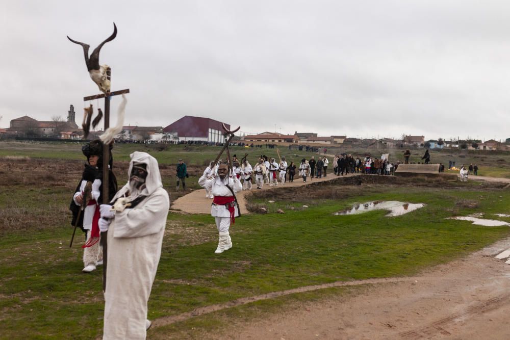 Magosto y mascaradas en Montamarta.