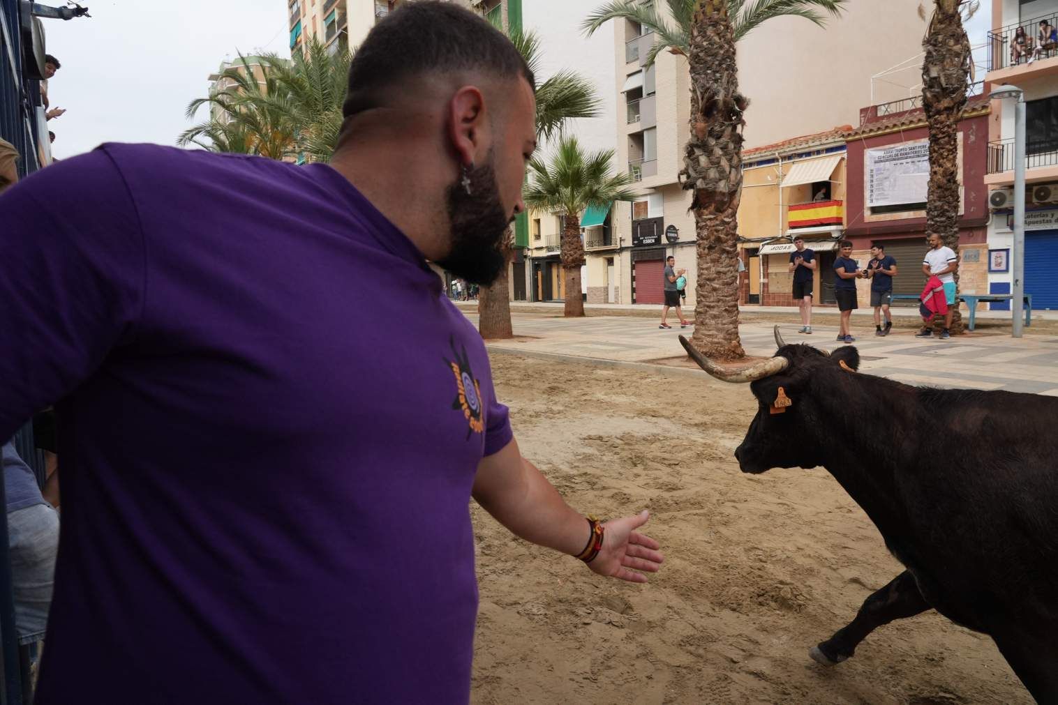 El Grau da inicio a las fiestas de Sant Pere con pólvora, bous y música