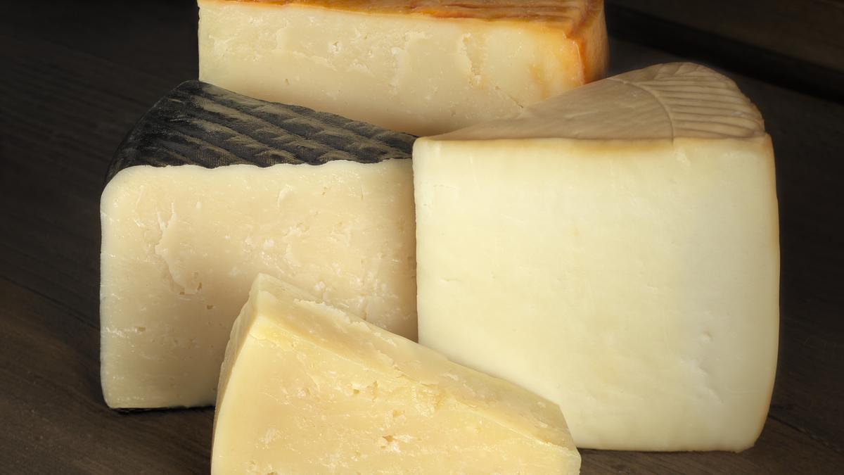Más que cheddar y mozzarella: descubre el universo de los quesos.