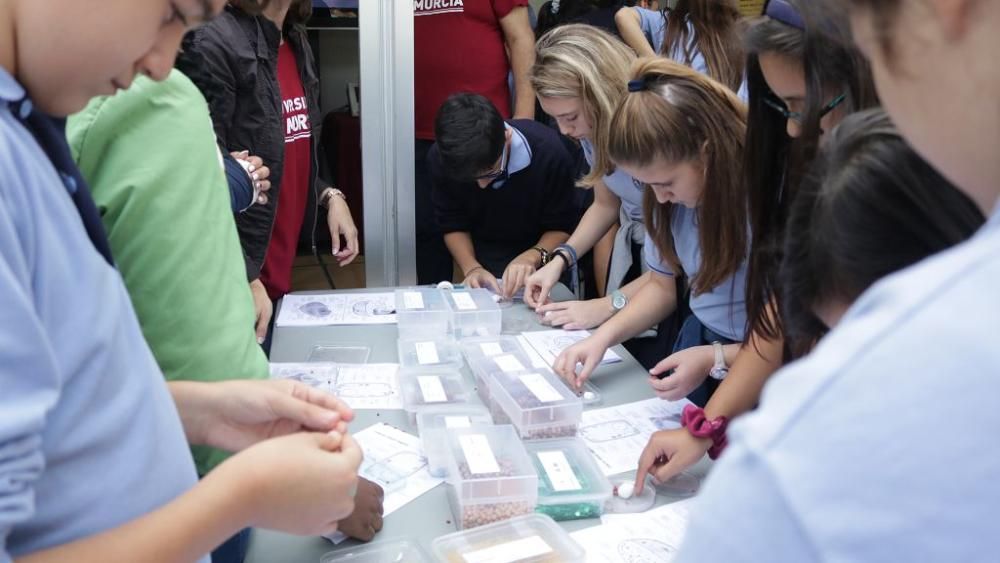 Semana de la Ciencia y la Tecnología en Murcia (I)