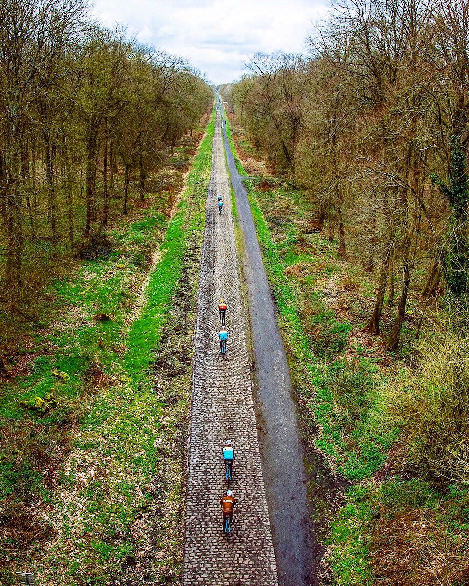 Imagen del tramo de adoquines que atraviesa el Bosque de Arenberg