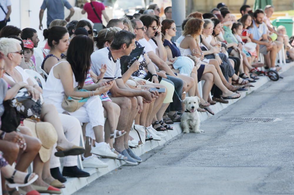 Desfile de perros que buscan un hogar